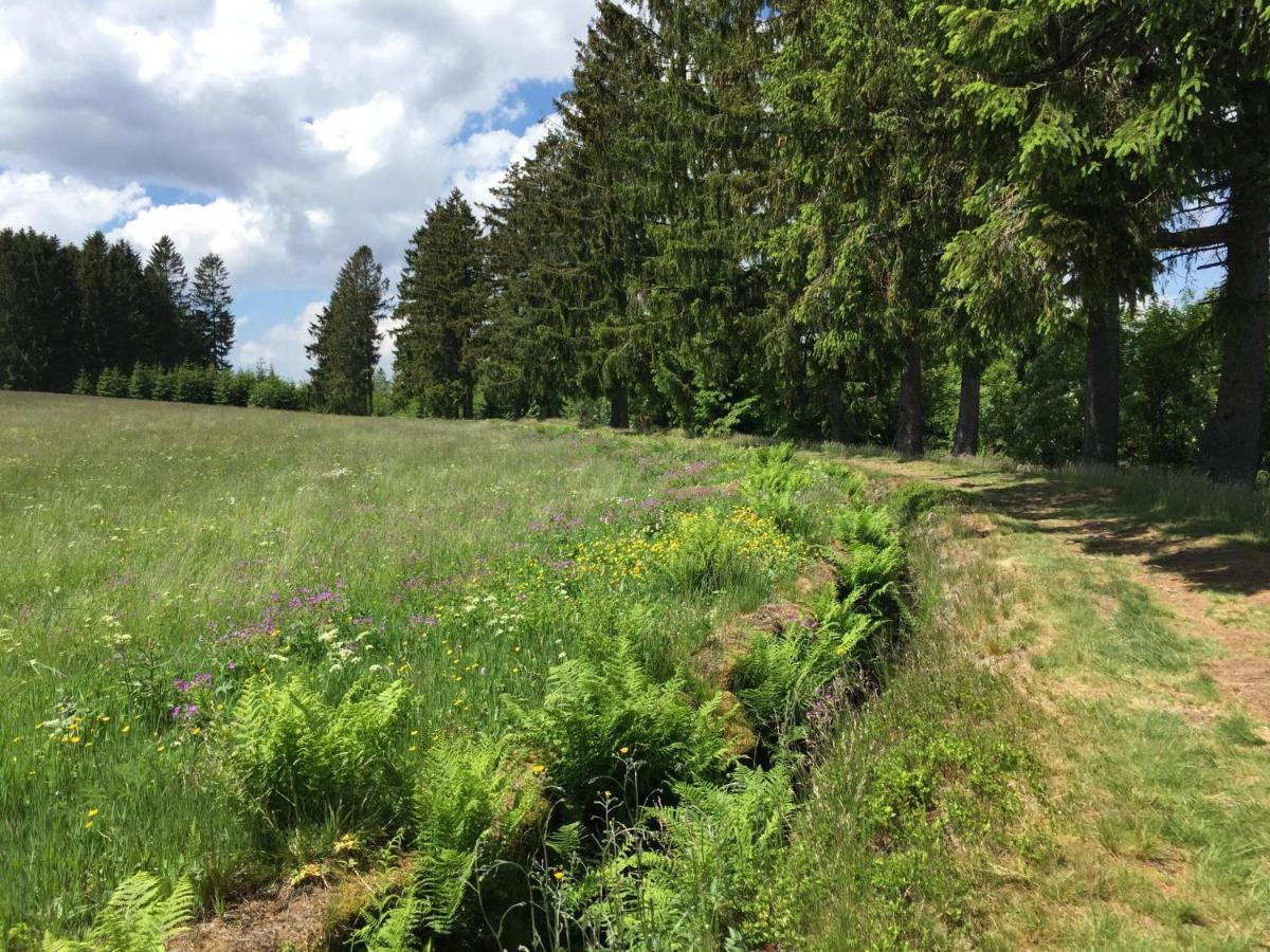 Wolfs Hotel Clausthal-Zellerfeld Eksteriør billede